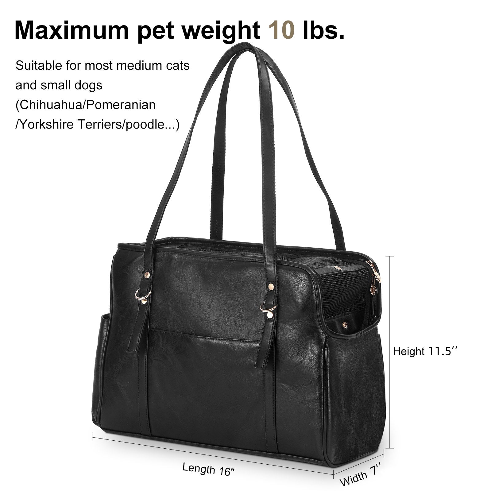Fashion Leather Pet Carrier